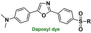 Bio-Synthesis Inc. Oligo Structure